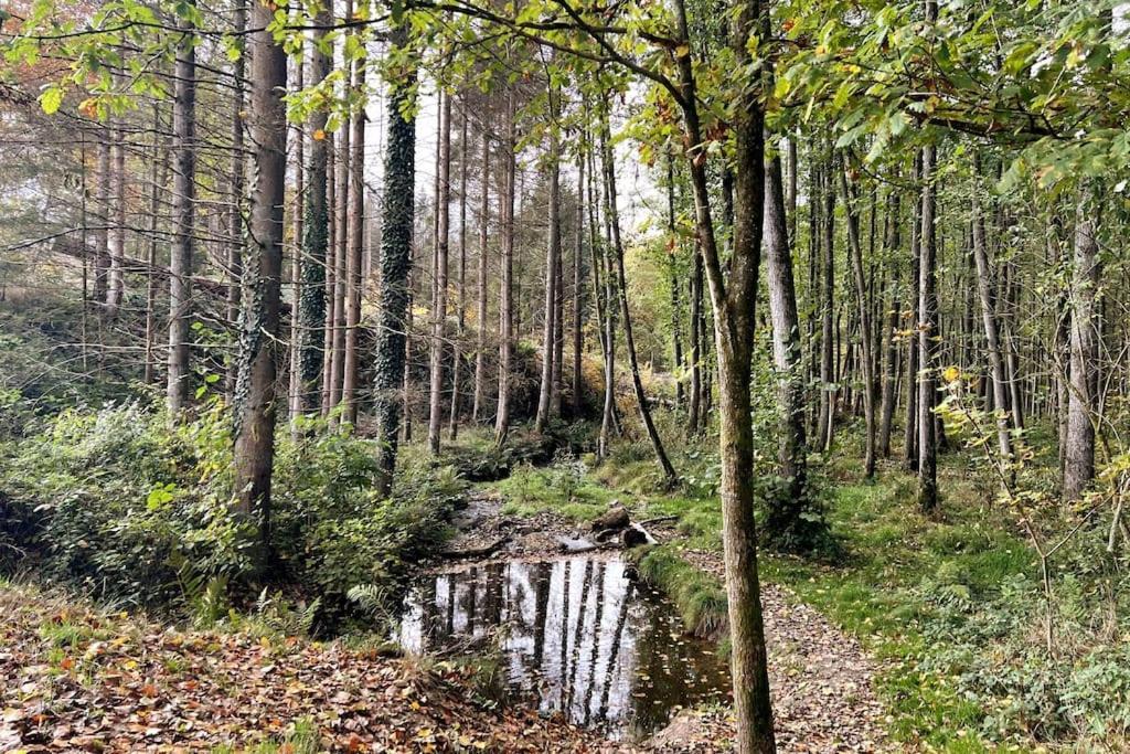 Forest Retreat- Serene 160M2 With Forest Views Wermelskirchen Ngoại thất bức ảnh